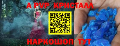 шишки Новодвинск