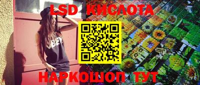 шишки Новодвинск