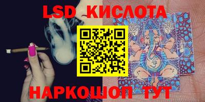шишки Новодвинск