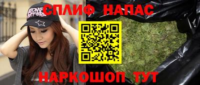 шишки Новодвинск