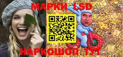 шишки Новодвинск