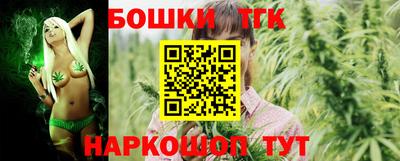 шишки Новодвинск
