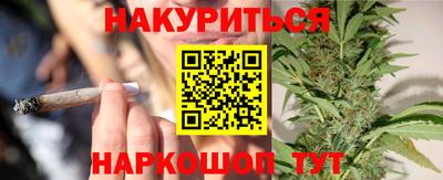 шишки Новодвинск